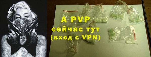 СК Михайлов
